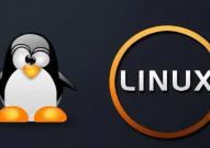 linux是谁开发的,林纳斯·托瓦兹的传奇故事