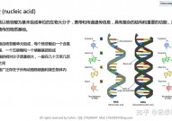 美ai综合征,打破与应战