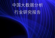 上海市大数据中心,推进城市数字化转型的重要力气