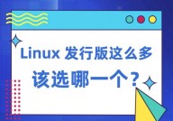 linux哪个体系好用,Linux体系哪个好用？深度解析不同发行版的优缺点