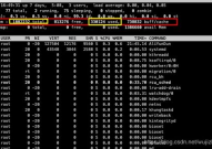 linux检查内存占用率,Linux体系下检查内存占用率的办法详解