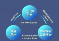 云核算商业形式,云核算商业形式的兴起与演化