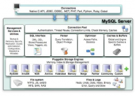 mysql数据库技能,中心概念、运用与未来趋势