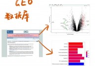 数据库含糊查询,进步数据检索功率的要害技能