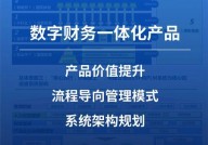 财政软件oracle,企业财政办理新时代的利器