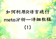 r言语官网,数据剖析与计算建模的强壮东西