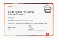 oracle收费规范,Oracle收费规范的全面解析