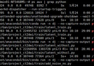 linux检查python进程,Linux环境下检查Python进程的有用办法