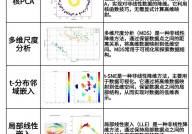 机器学习降维,原理与运用