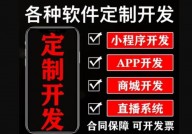 深圳手机app软件开发,立异驱动，引领未来