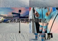 go ski,Go Ski 滑雪体会全攻略