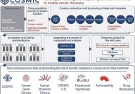 cosmic数据库,癌症体细胞骤变研讨的强壮东西