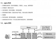 linux检查nginx途径,Linux体系下检查Nginx装置途径的多种办法