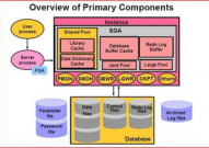 oracle什么意思,从古希腊神谕到现代技能巨子