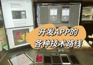 ios开发用什么编程言语,Swift与Objective-C的比赛