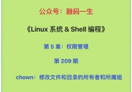 linux修正文件所属用户和组, 什么是文件一切者和所属组