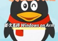 linux版别qq,跨渠道交际体会，轻松衔接国际