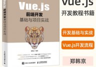 vue技能,前端开发的现代解决方案