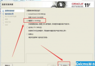 oracle11g客户端,oracle11g客户端下载