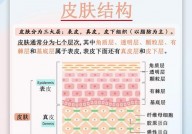 css半通明, 半通明作用的基础知识