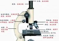 linux镜像源,加快软件装置与更新