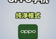 oppo手机开发者形式,什么是OPPO手机开发者形式？