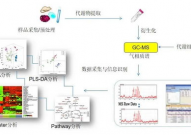 代谢组学数据库,生物信息学的重要东西