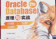 oracle业务,根底、办理与运用