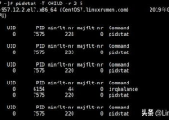 linux检查pid对应的进程,什么是PID？