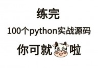 python解说器是什么,编程国际的翻译官