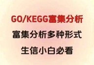 go富集剖析,提醒基因功用与生物学途径的要害东西