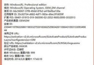 windows8激活码,解锁体系潜能，享用正版体会