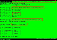 mysql数据库编程,MySQL数据库编程概述