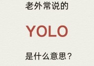 机器学习yolo,什么是YOLO？