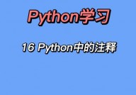 python注释,进步代码可读性与可维护性