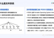 c言语文件操作, 文件的基本概念