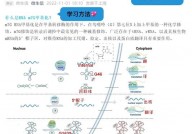 甲基化数据库,表观遗传学研讨的强壮东西