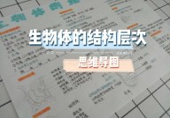 结构体c言语