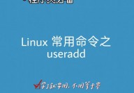 linux怎样创立用户,Linux用户创立概述