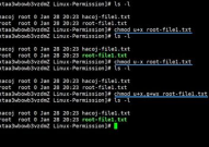linux权限详解,linux权限不行怎么获取权限