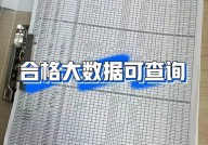 大数据分数怎样查,大数据分数怎么查询——全面攻略