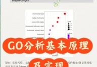 骑缘go,骑缘Go——探究骑行与科技交融的新篇章