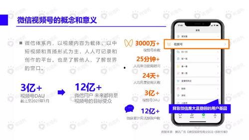 王杰女儿爆料视频播放下载,揭秘事件背后真相