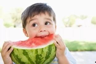 娱乐吃瓜君不挑食的人,不拘一格,畅享人生百味 第3张 娱乐吃瓜君不挑食的人,不拘一格,畅享人生百味 第3张