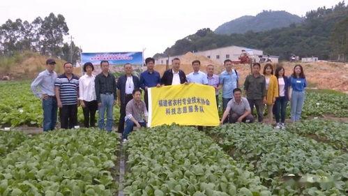 木偶师技能爆料视频播放,视频爆料带你领略指尖上的艺术魅力