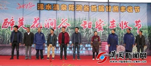 浠水二小爆料新闻报道,校园新闻背后的故事  第2张 浠水二小爆料新闻报道,校园新闻背后的故事  第2张