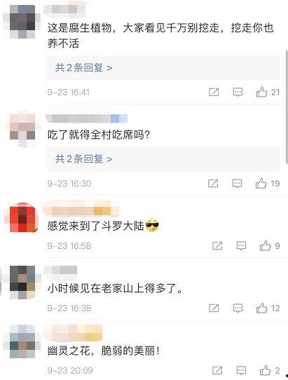 热点爆料的视频格式,视频格式背后的秘密大曝光！  第2张