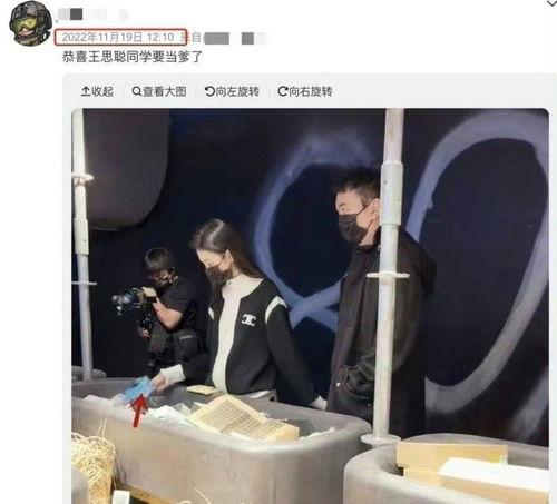 爆料王思聪当爸爸视频,揭秘神秘视频背后的豪门喜事