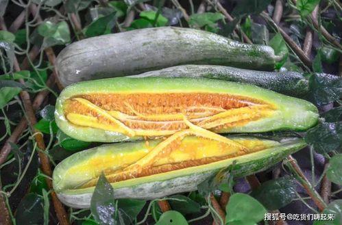 成县的吃瓜网红是谁啊,揭秘网络红人的魅力与影响力  第3张 成县的吃瓜网红是谁啊,揭秘网络红人的魅力与影响力  第3张