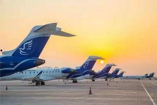 大连飞机场爆料最新消息,航班调整与安全措施升级全解析  第2张